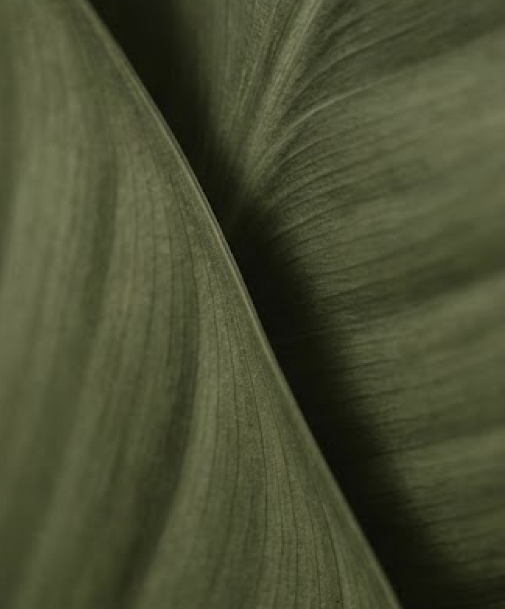 Origins Signature