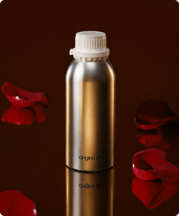 Rose d'Arabie