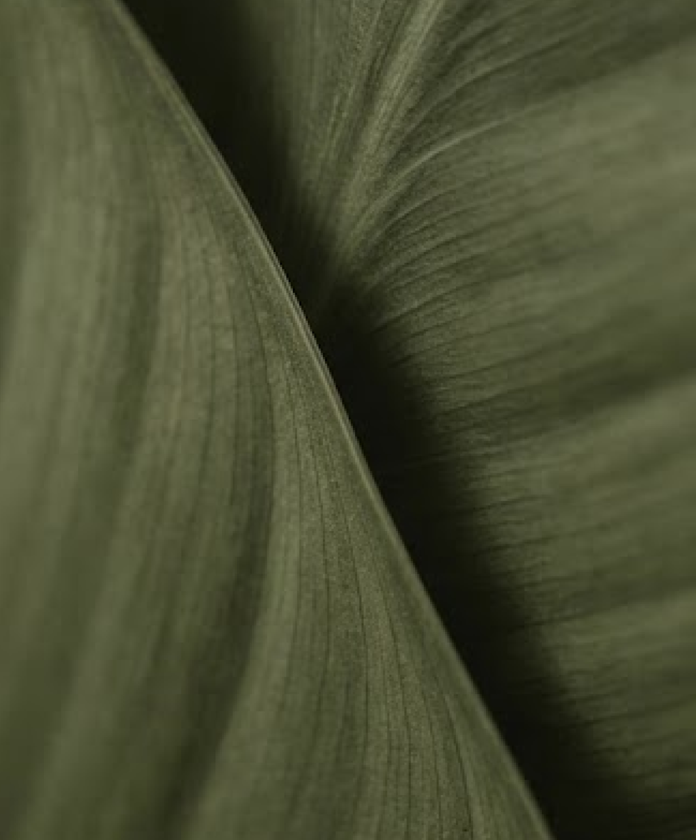 Origins Signature