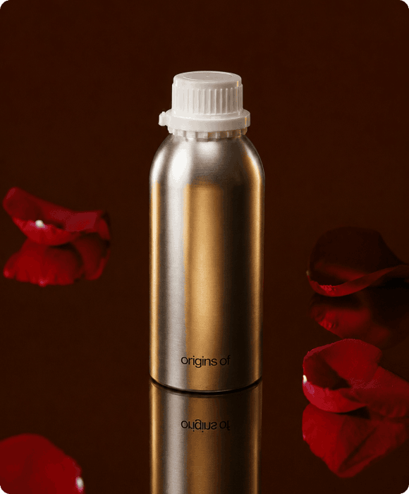 Rose d'Arabie